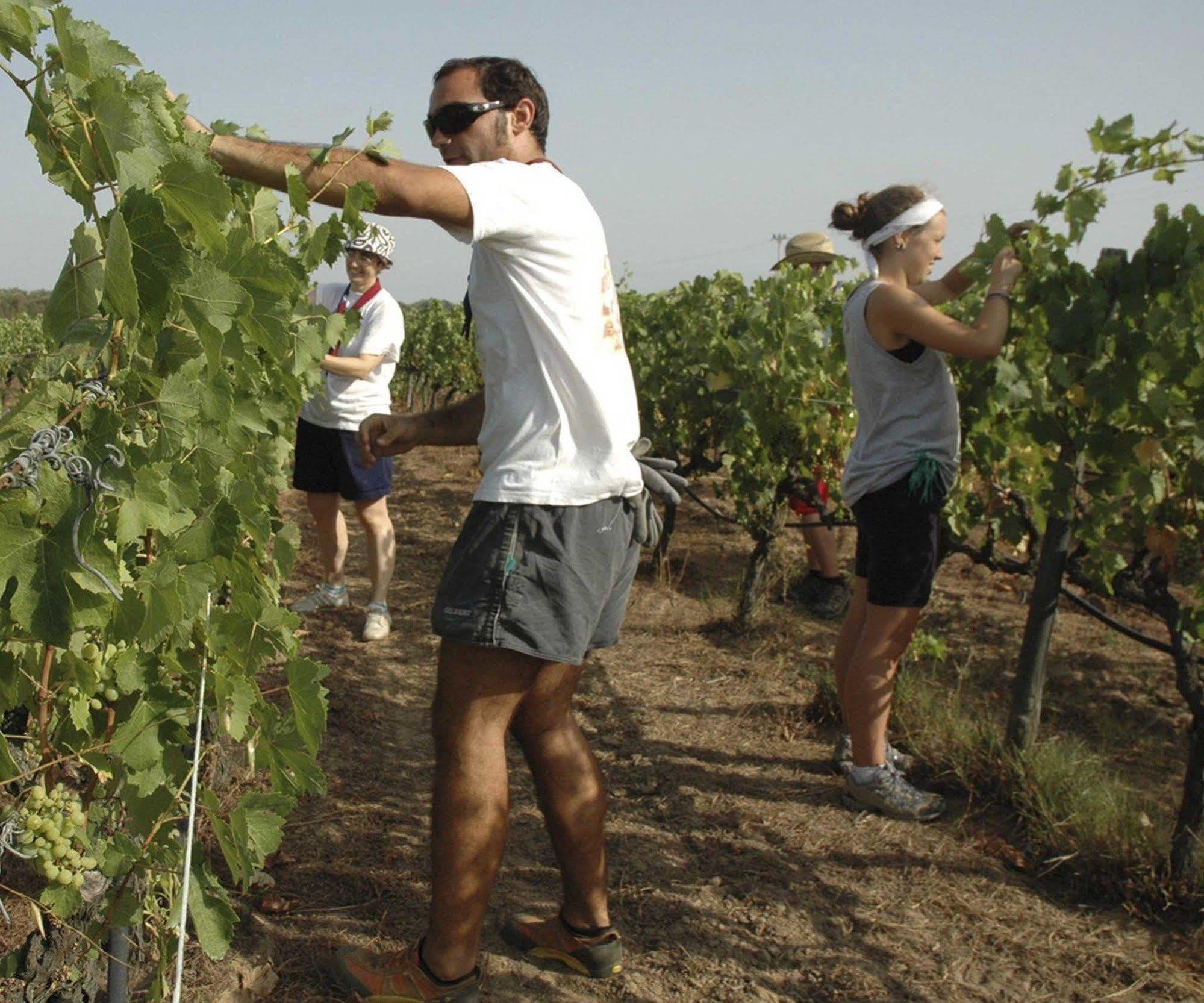 Agriturismo Borgo Dell'Aschetto Marina di Cerveteri Zewnętrze zdjęcie